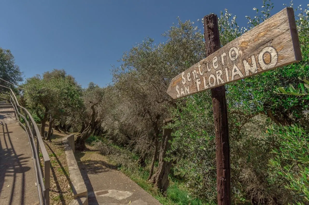 Casale Belvedere L'Ulivo E La Terrazza Massarosa Σπίτι διακοπών