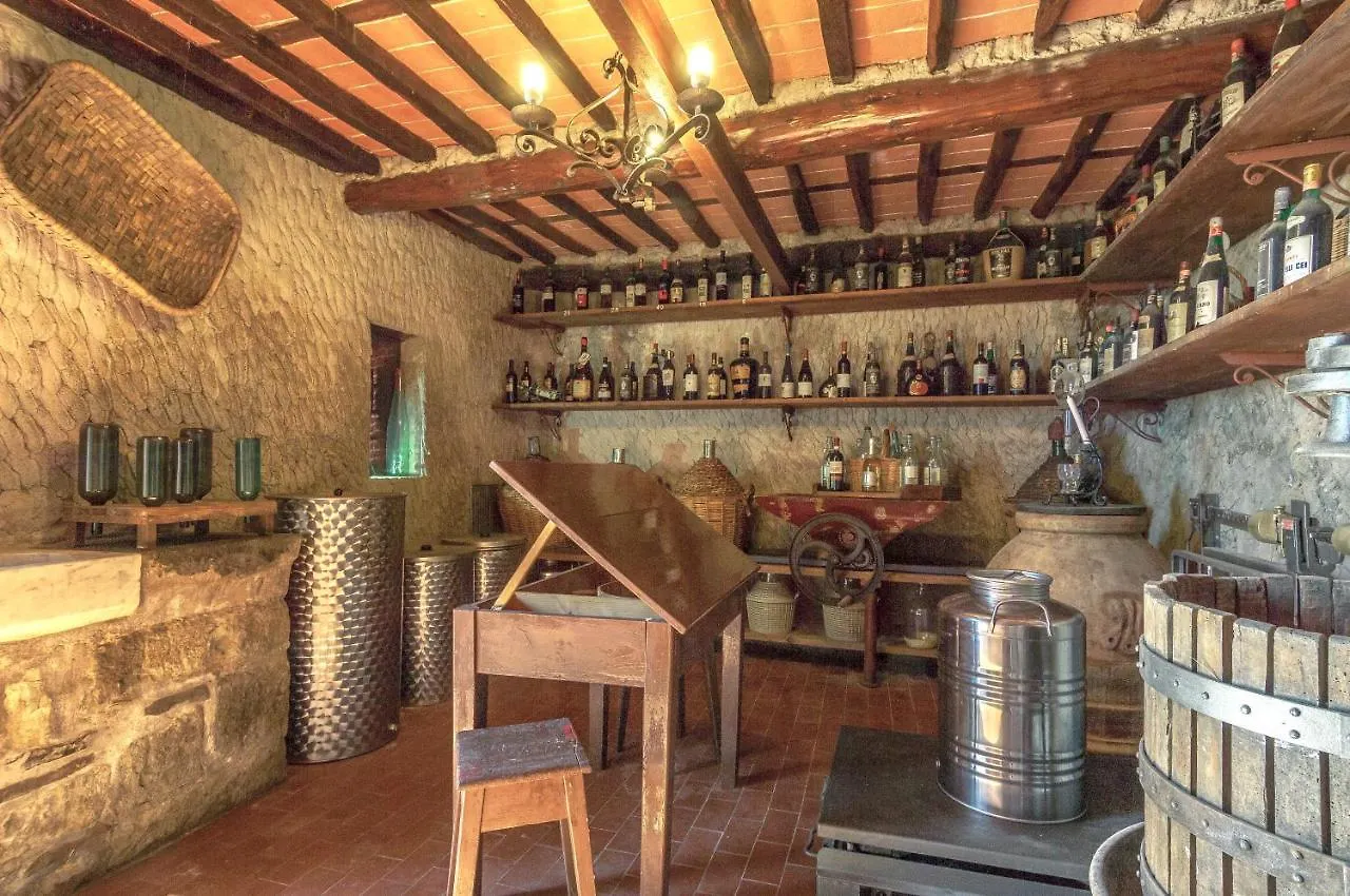 Casale Belvedere L'Ulivo E La Terrazza Massarosa Σπίτι διακοπών